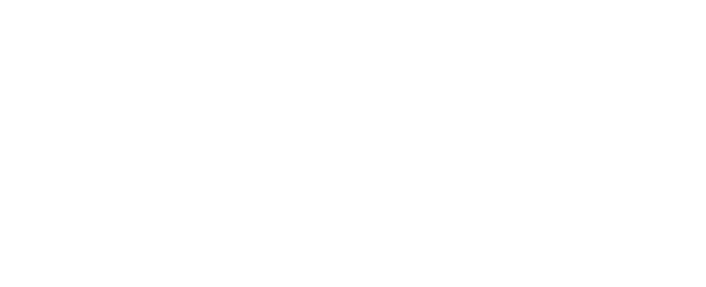 Elemaster