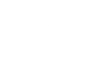 4D1