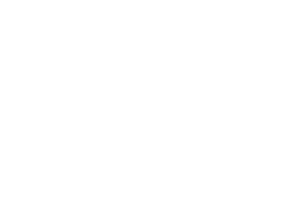 KiwiEars